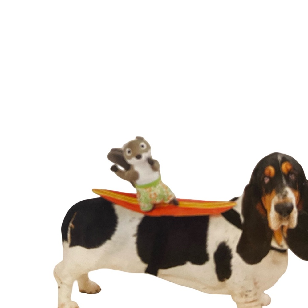 Squirrel on Surfboard dog costume